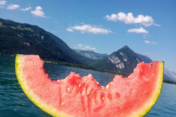 Wir machen dann mal Pause: Sch�nen Sommer