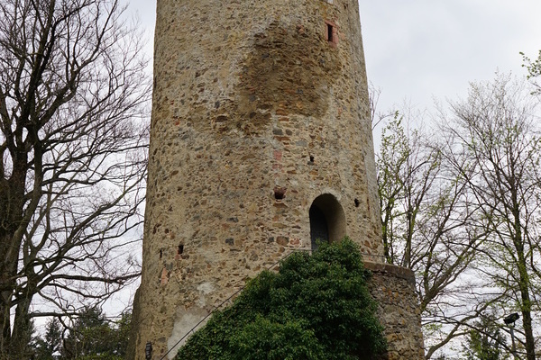 Wiederer�ffnung der Z�hringer Burg � gemeinsamer Erfolg f�r Freiburg