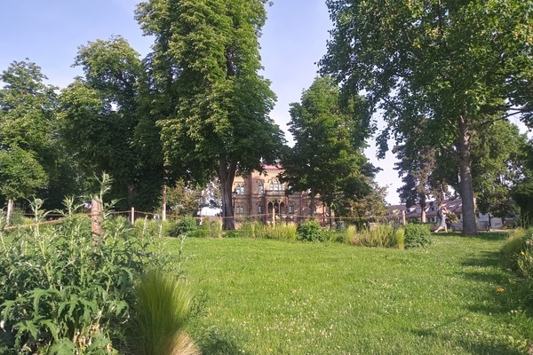 Colombipark: Einmal H� und einmal Hott