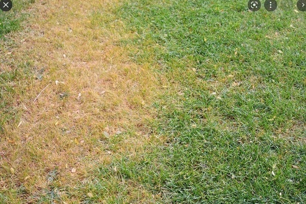 Uns�glicher Umgang mit SV Solvay